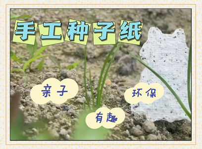 种子纸包装盒定制｜可种植礼盒·四种盒型可选·500个起订·深圳金迪风